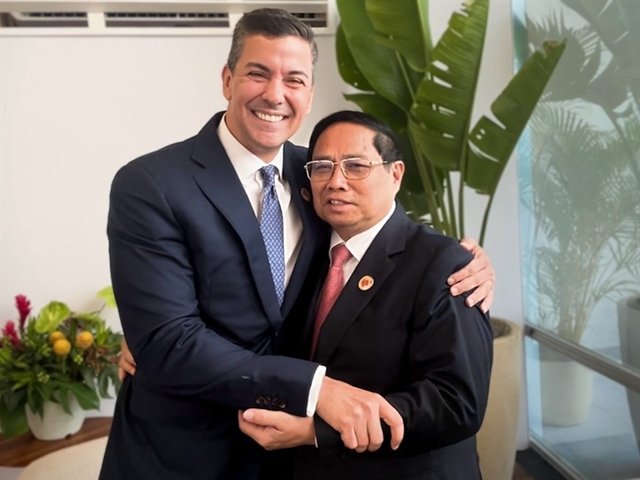G20 Summit: Vietnam promotes relations with countries, international organisations