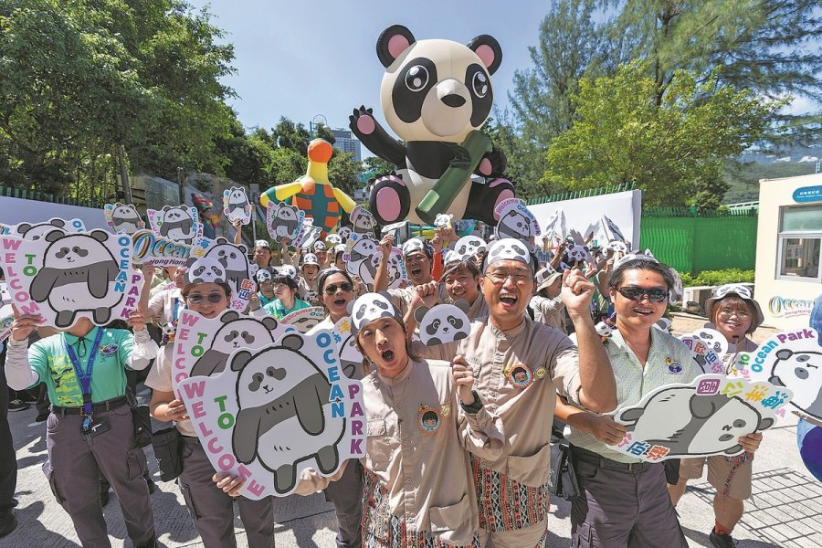 Birth of twin pandas brings twice the joy in China