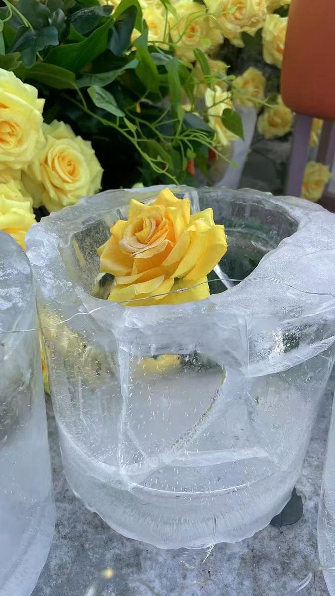 Frozen roses: spring meets winter in China’s Harbin