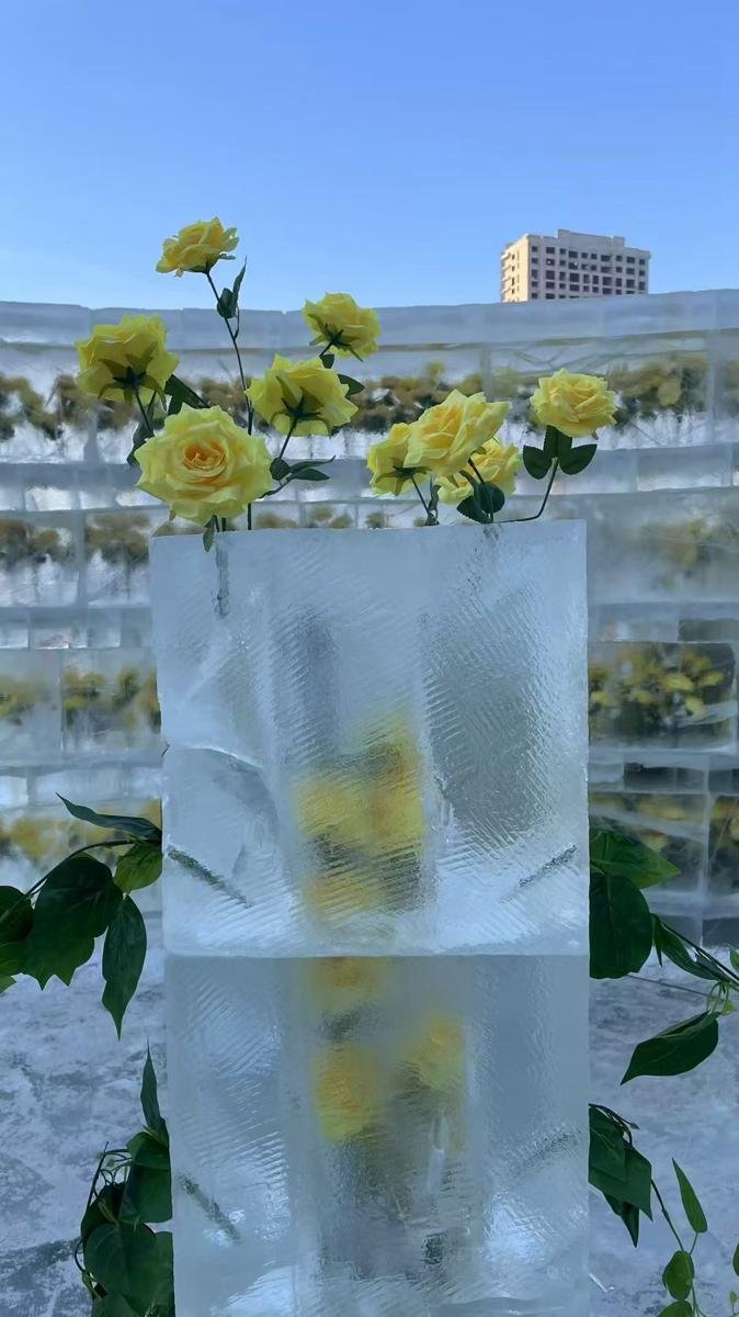 Frozen roses: spring meets winter in China’s Harbin