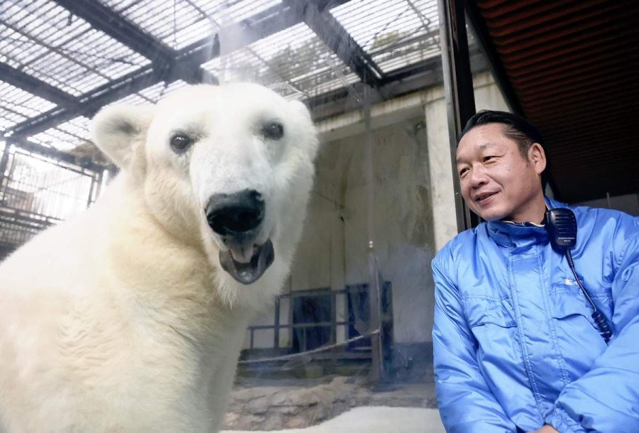 Japan's oldest bottle-fed polar bear celebrates 25th birthday