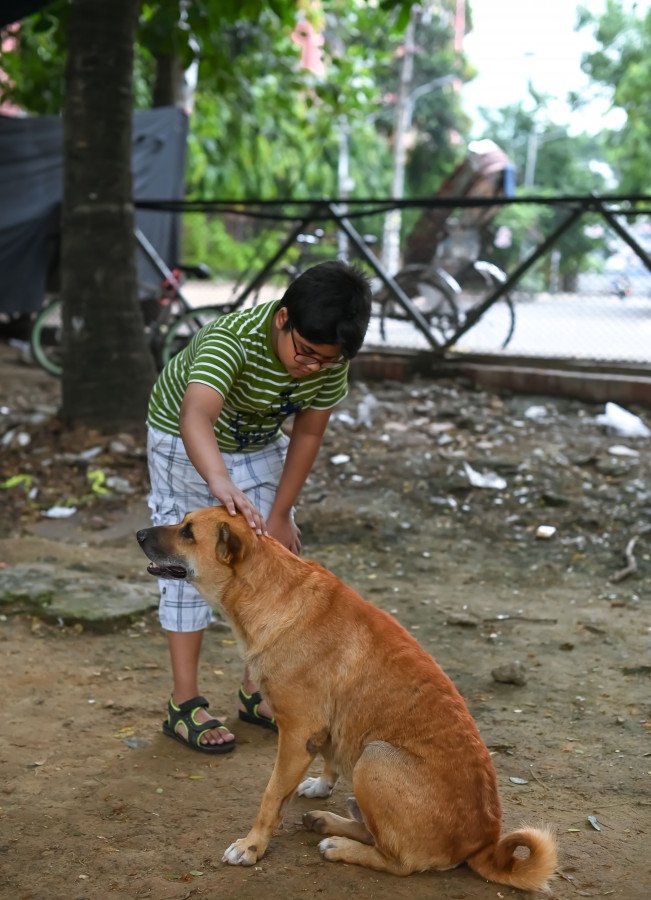How to keep stray dogs and cats warm this winter