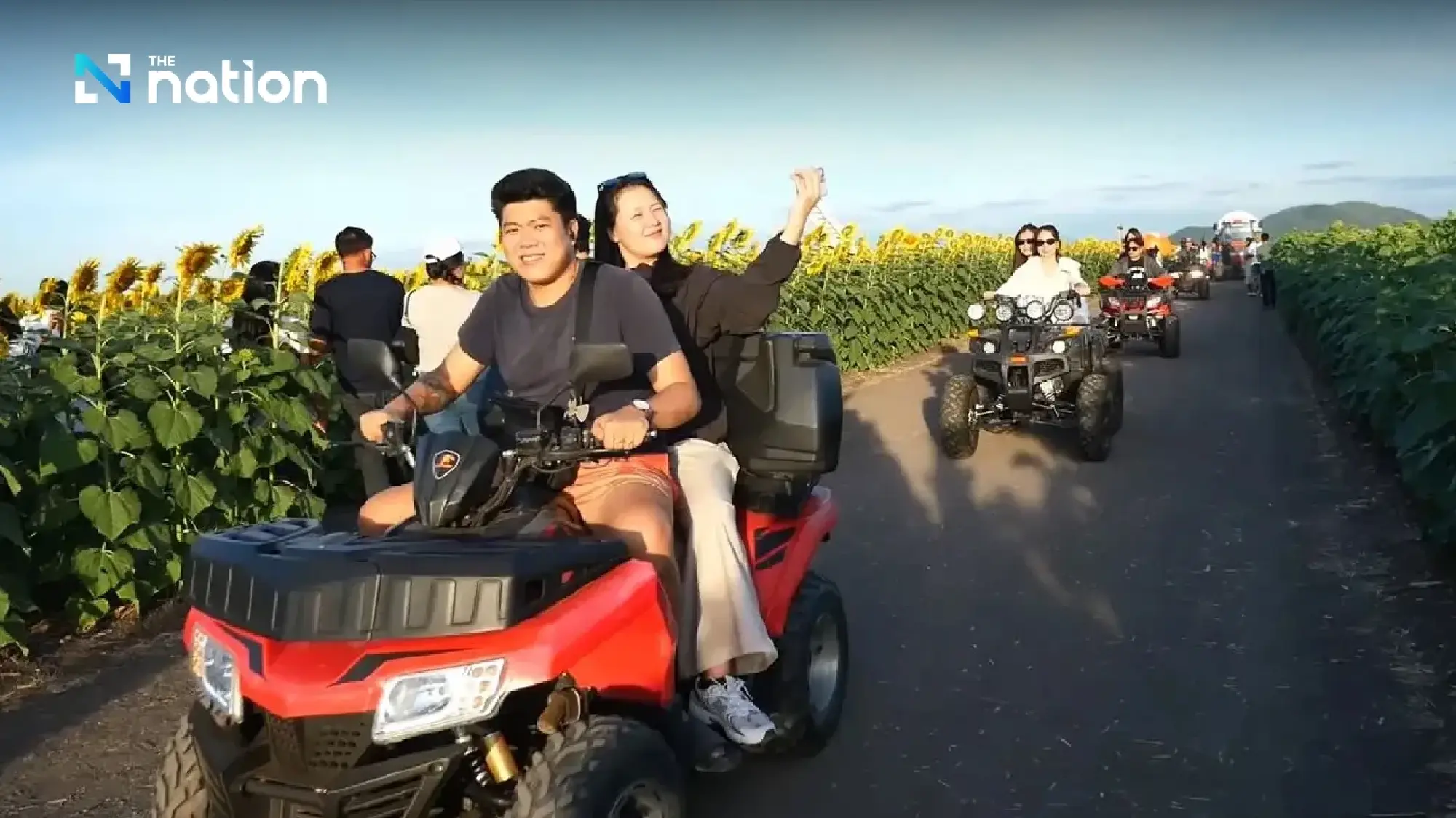 Tourists are flocking to Lopburi’s spectacular sunflower fields