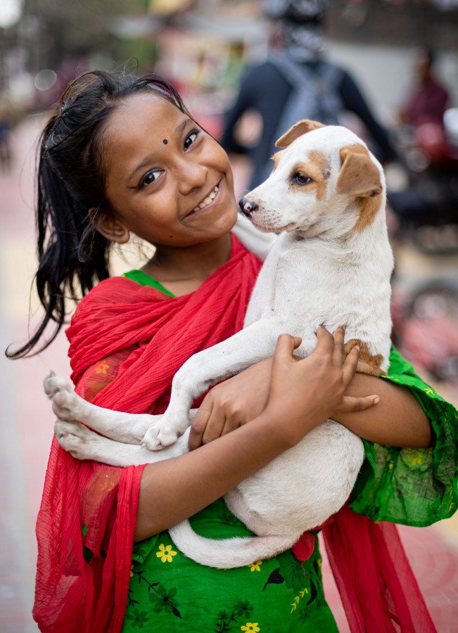 How to keep stray dogs and cats warm this winter