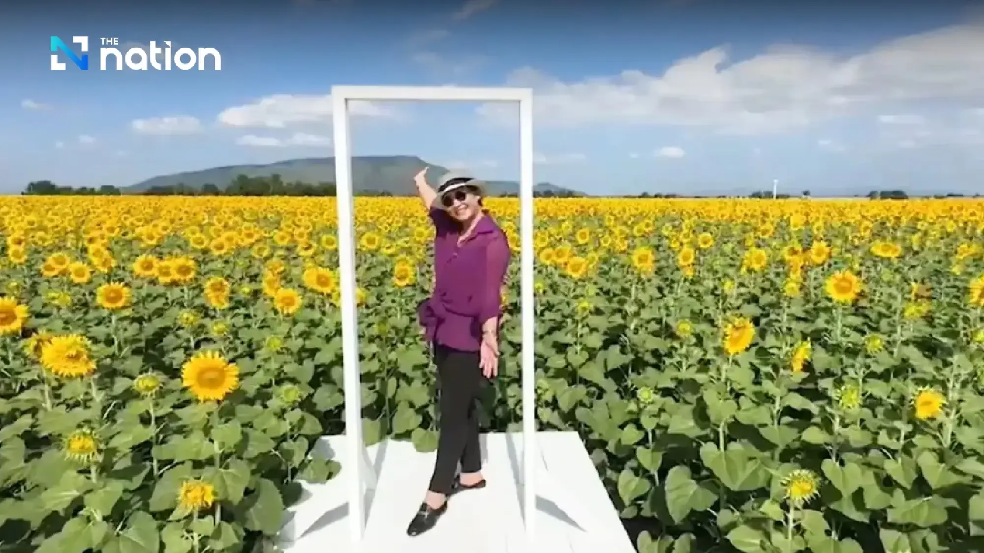 Tourists are flocking to Lopburi’s spectacular sunflower fields