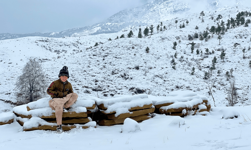 100 days of solitude: Hunger, strife and despair in Parachinar