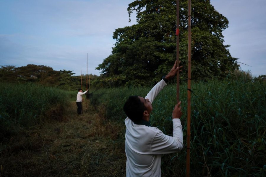 Singaporean experts on the hunt for diseases that can spread from animals to humans