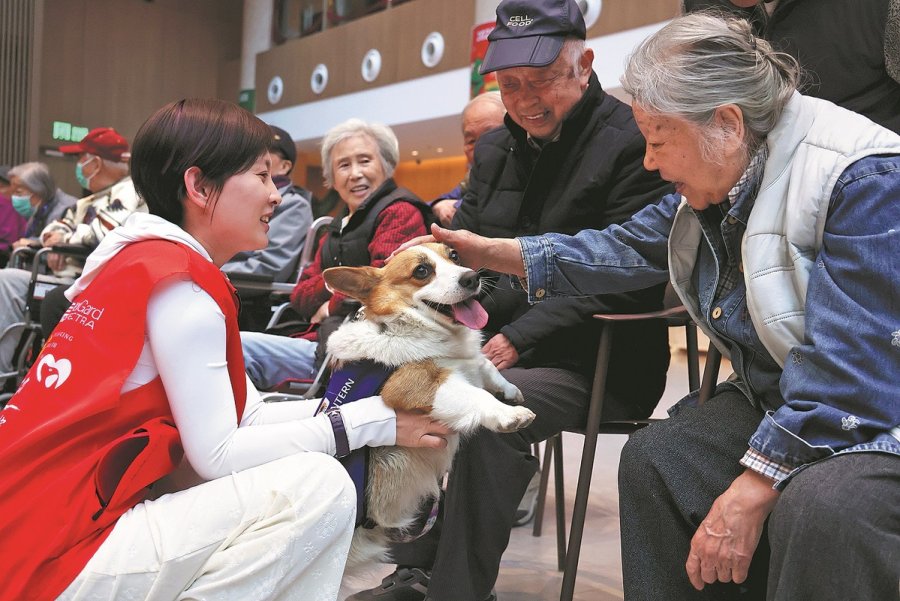 When dogs become therapists in China