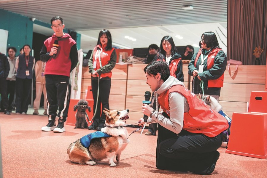 When dogs become therapists in China