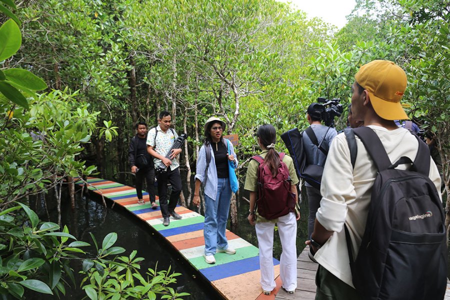 Discover the tranquil mangrove forest of Cambodia’s Koh Rong Marine National Park