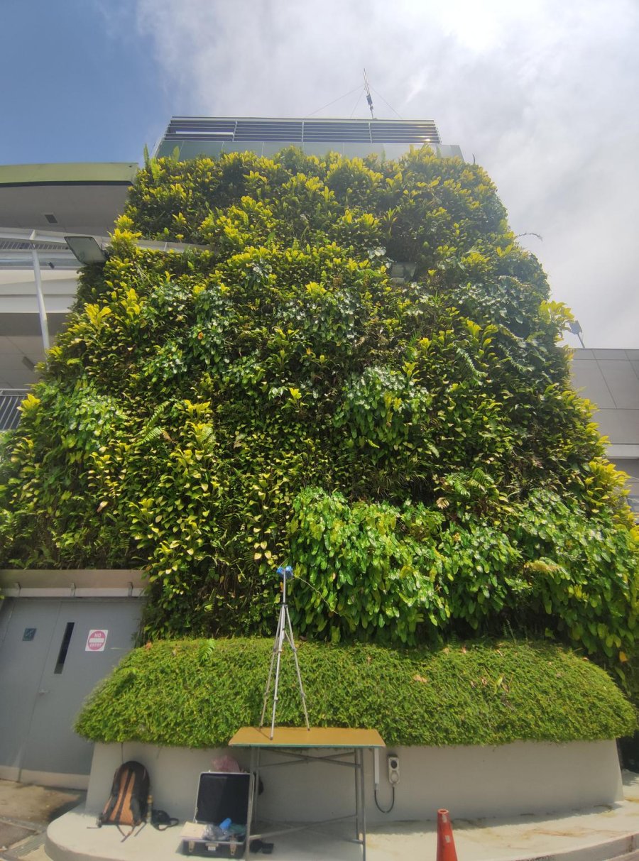 Green walls and fish houses: How Singapore researchers are bringing life back to urban areas