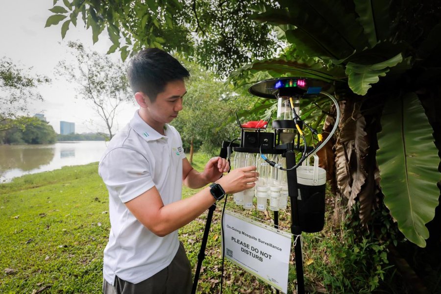 Singaporean experts on the hunt for diseases that can spread from animals to humans