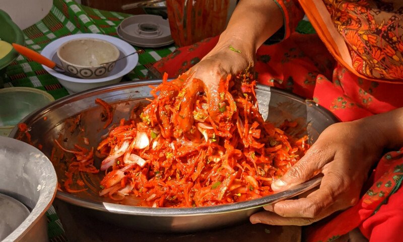 The vanishing paradise of the Indus Delta