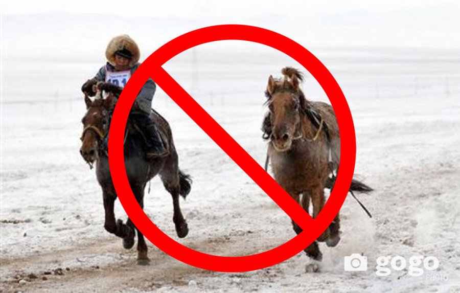 UN underscores the safety and health risks horse racing poses to Mongolia’s child jockeys