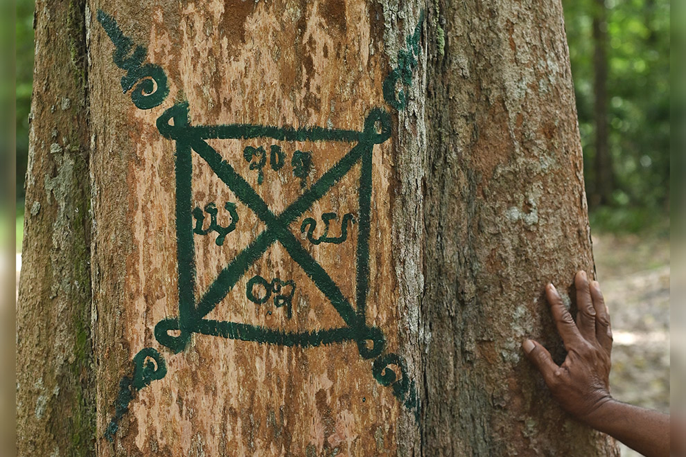 Cambodia’s Kouy community heroes: Guardians of forests and culture