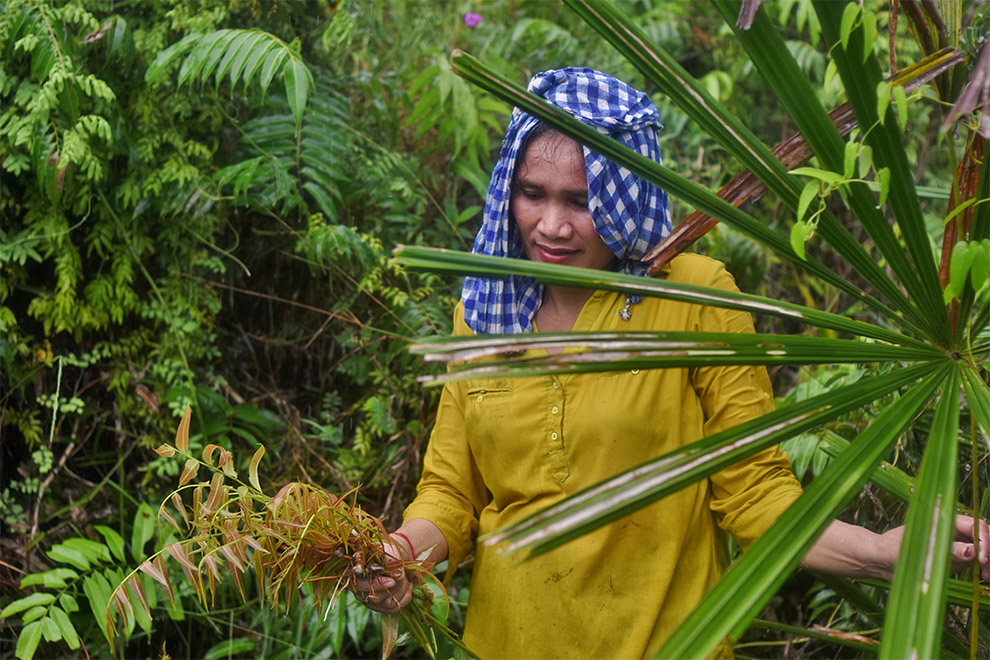 Cambodia’s Kouy community heroes: Guardians of forests and culture