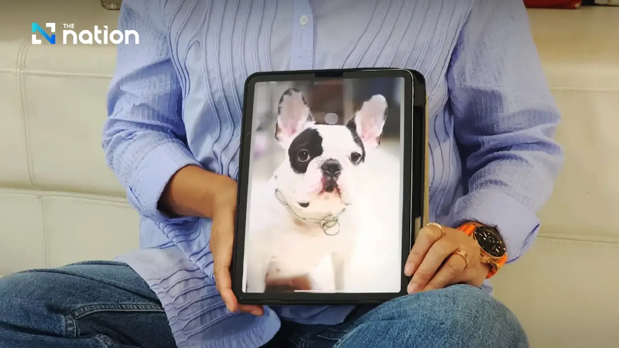 Thai woman spends US$176k to clone beloved French bulldog