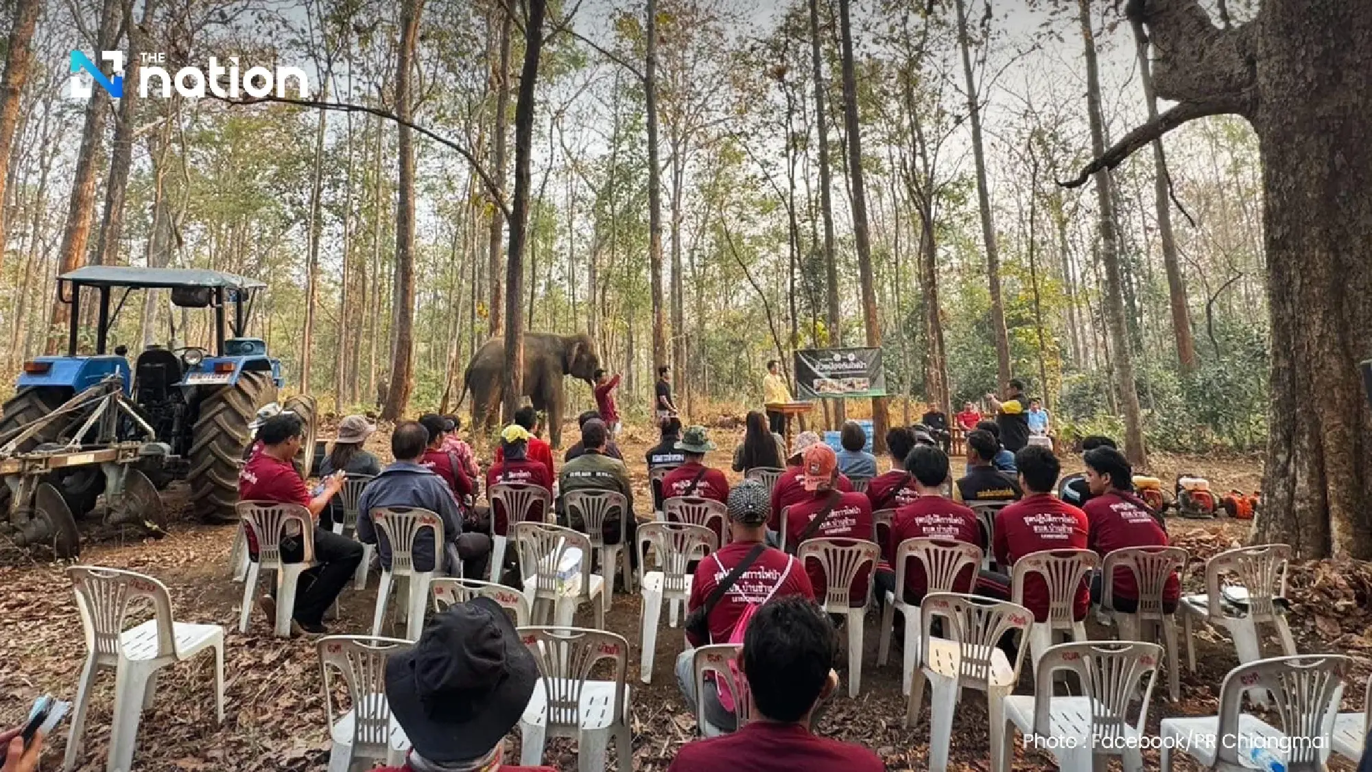 Elephant camps in Thailand’s Chiang Mai cooperate to prevent forest fire
