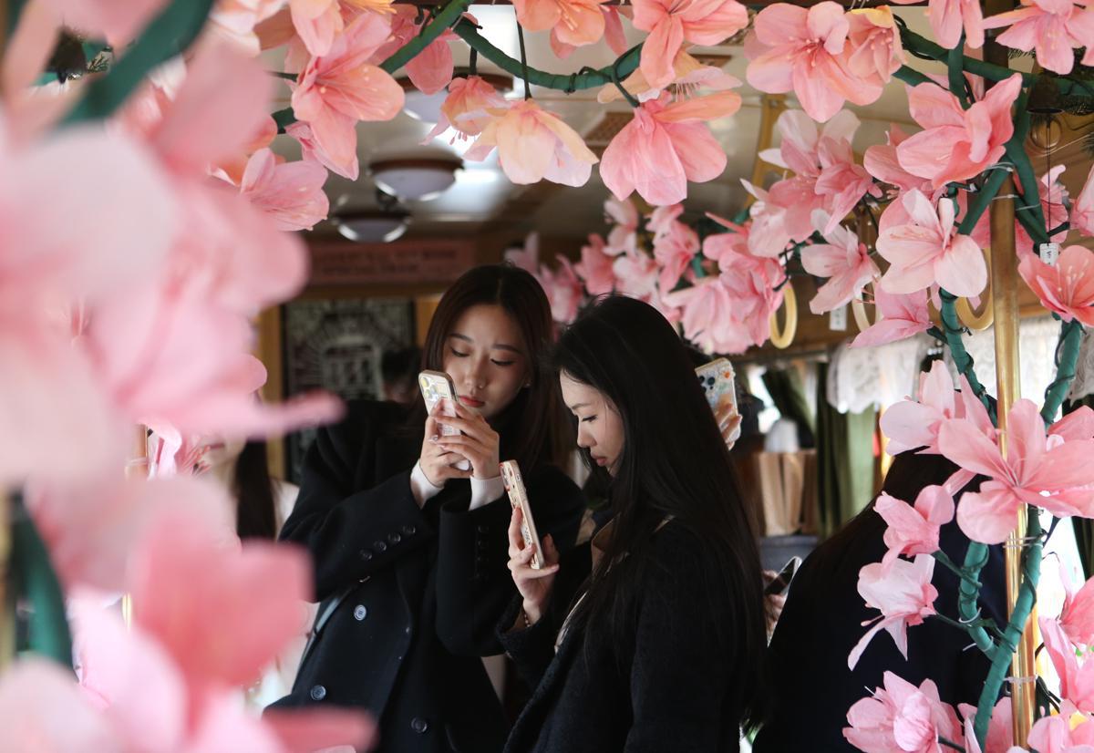 Spring tramcar draws crowds on blossoming journey in China’s Changchun