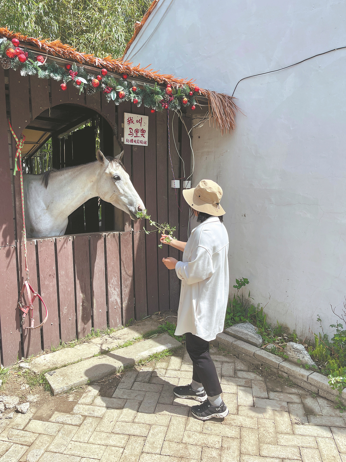 Cafes, restaurants and homestays capitalise on beauty of renovated Chinese village