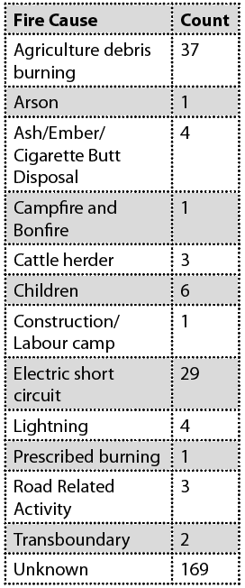 Blazing cost of Bhutan’s forest fires