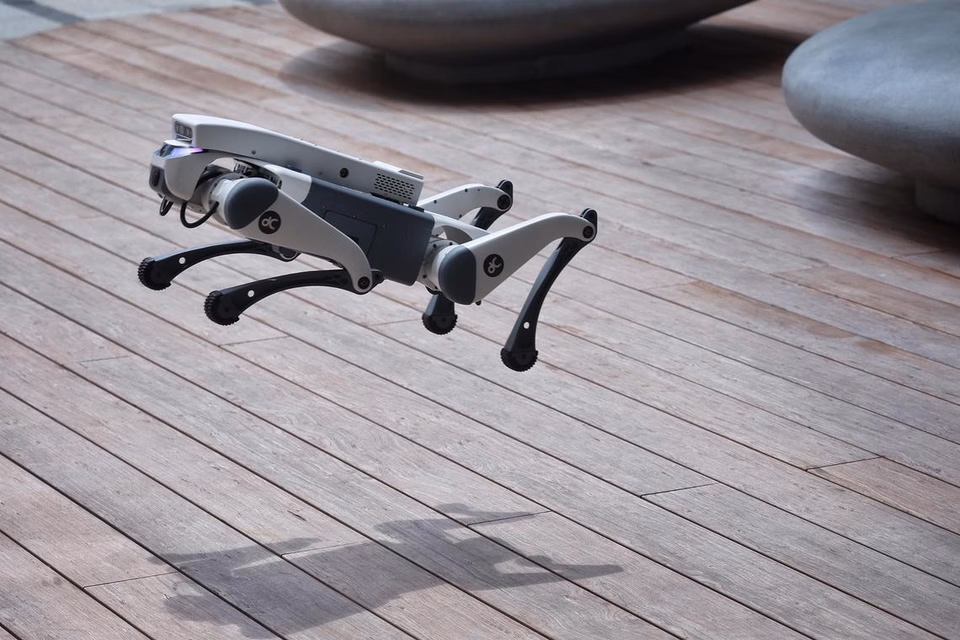 Who let the bots out? Robot dogs on the job in Singapore