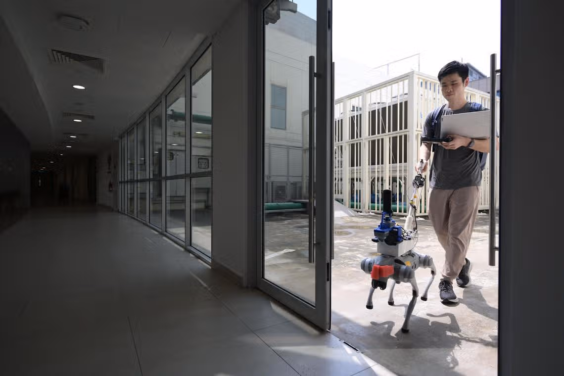 Who let the bots out? Robot dogs on the job in Singapore