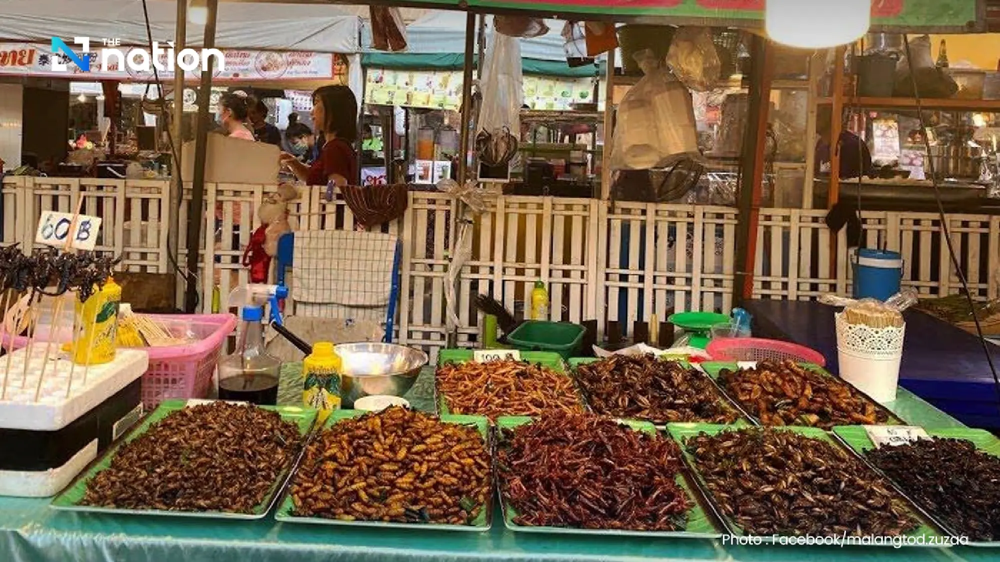Thailand's edible insect market poised for explosive growth