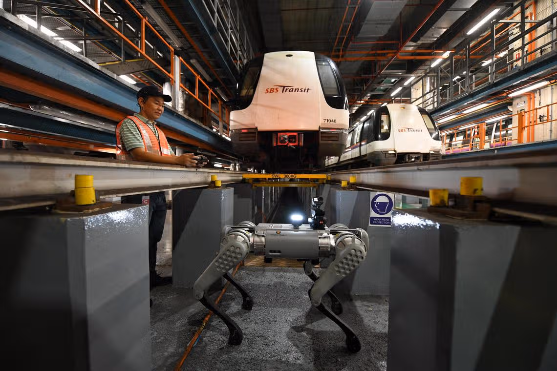 Who let the bots out? Robot dogs on the job in Singapore