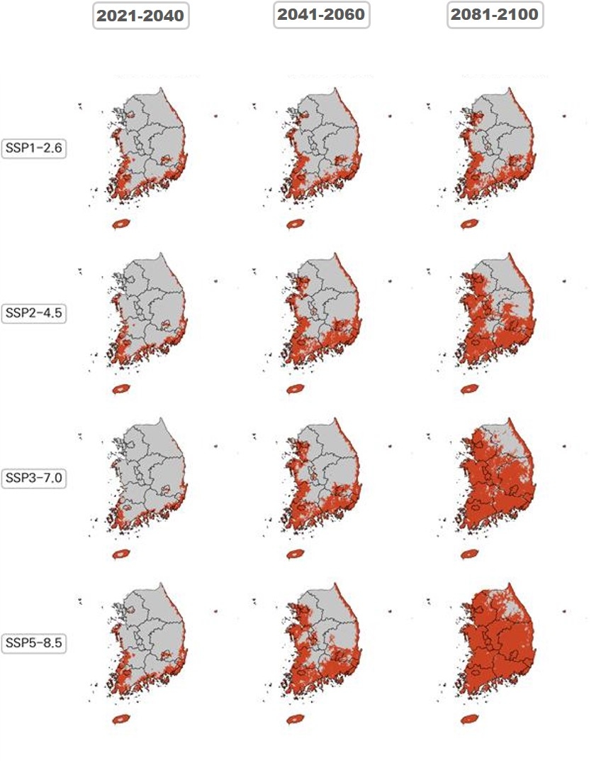 Is Seoul getting hotter?