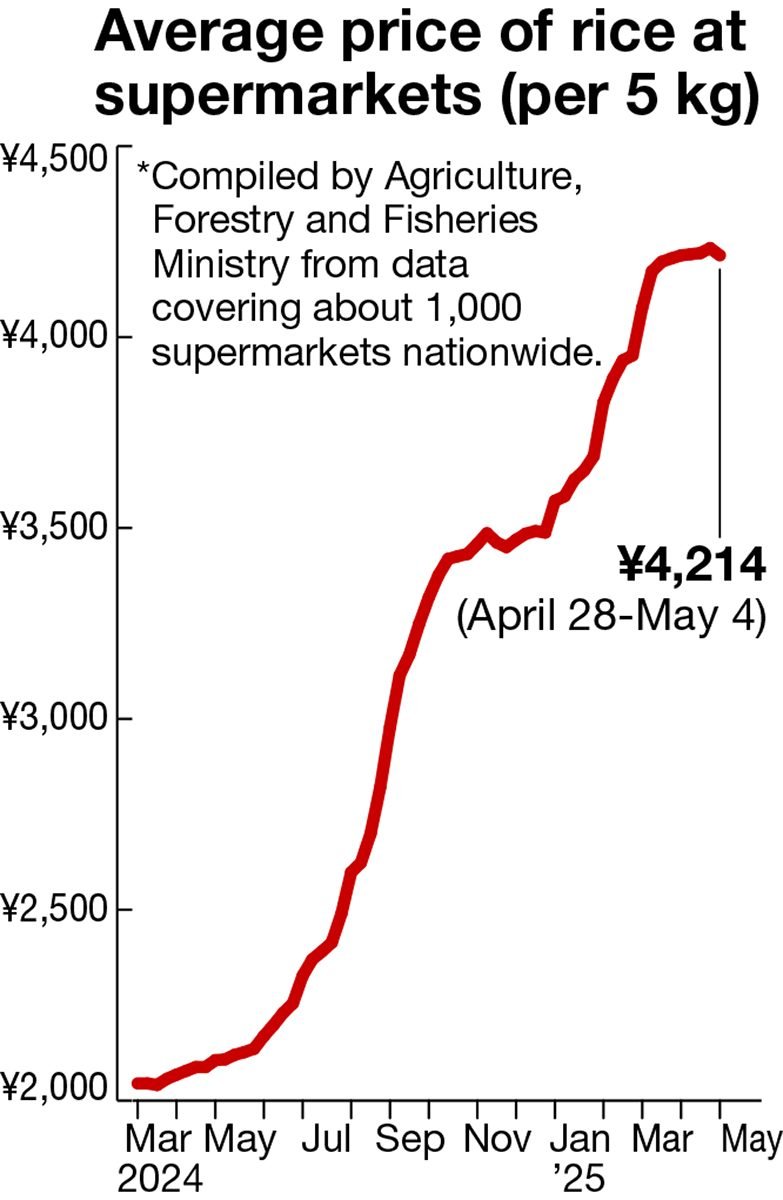 Rice prices in Japan dip for first time in 18 weeks as government stockpiles reach supermarket