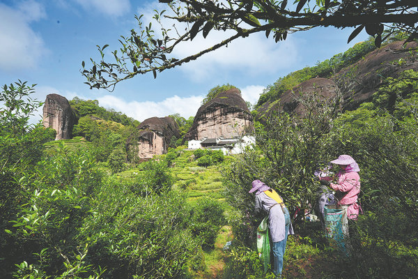 Leafing through a tasteful Chinese tradition