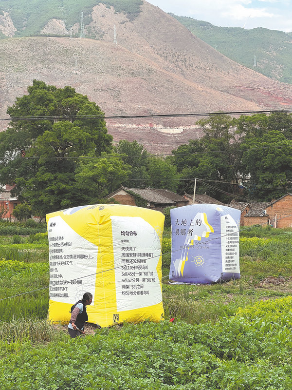New bookstore injects poetic vitality into rural Chinese area