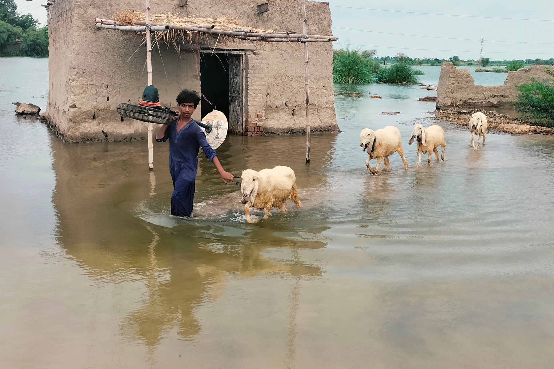Pakistan’s climate budget a ‘walking contradiction’