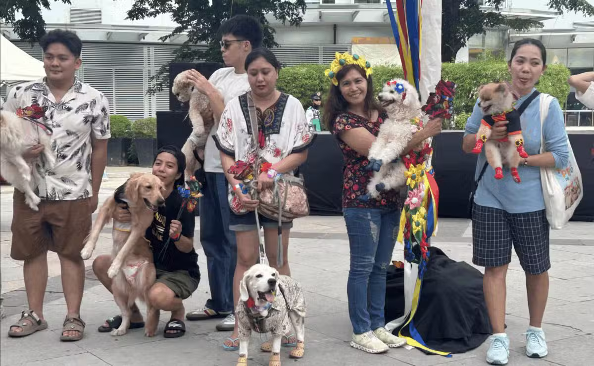 Even amidst rain: Fur babies shine at ‘Pets de Mayo’ parade in Pasig, Metro Manila