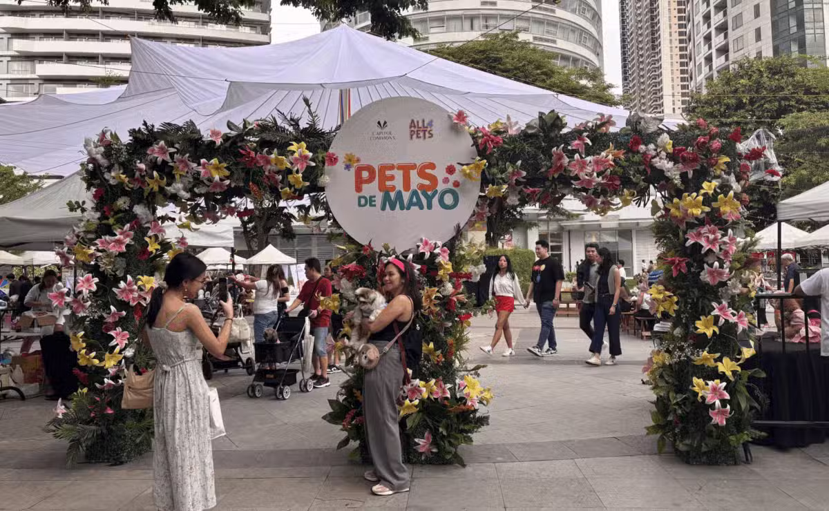 Even amidst rain: Fur babies shine at ‘Pets de Mayo’ parade in Pasig, Metro Manila