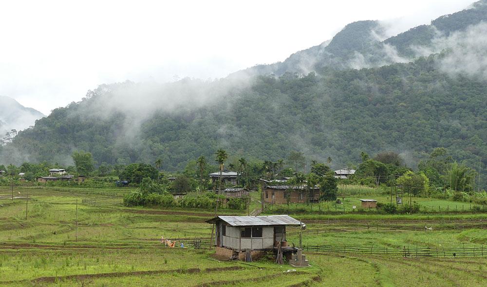 Living with wildlife: Bhutan tries new path to coexistence