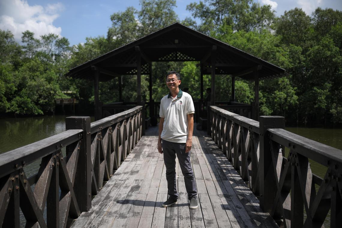 From shooting to sterilising: How human-wildlife conflict in Singapore has evolved