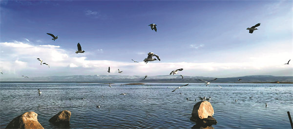Conservation lifts delicate ecosystem of China’s Qinghai province