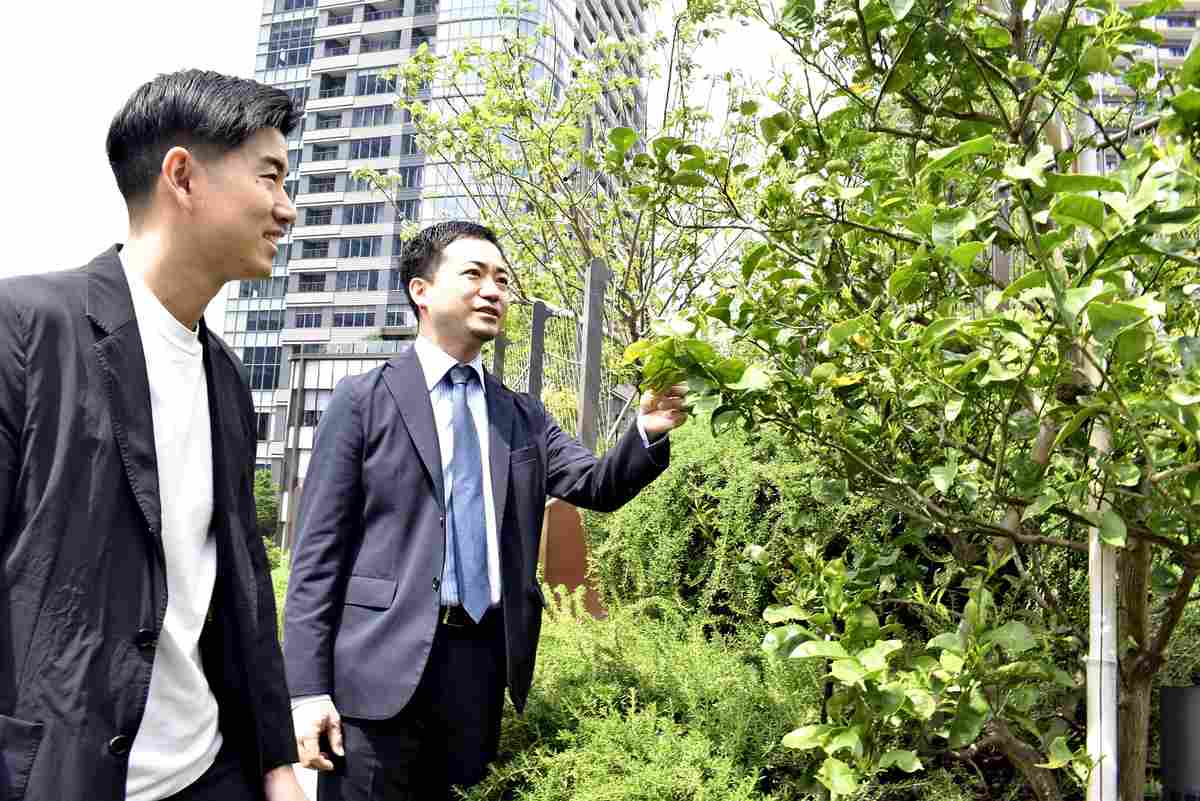 Array of Tokyo-made gins exude scents of local nature