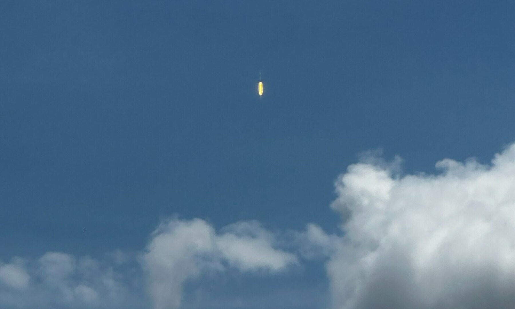 Seeds of the cosmos: How a Pakistani engineer sent wheat into space