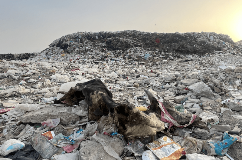 Welcome to Pakistan’s Quetta — from ‘Little London’ to just another city choking on its own waste