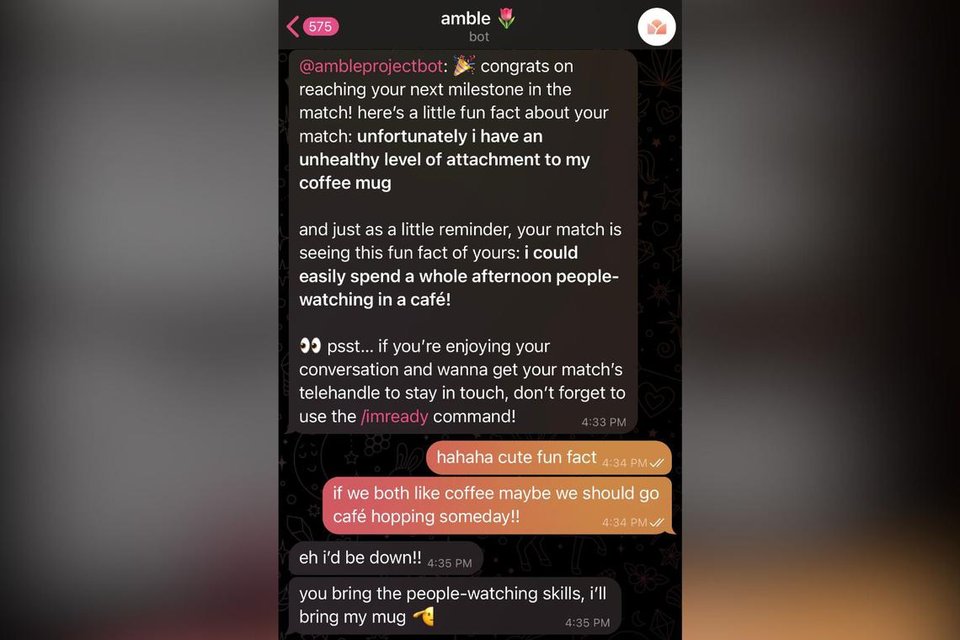 Singapore-made bot matchmakes strangers virtually – without profile photos