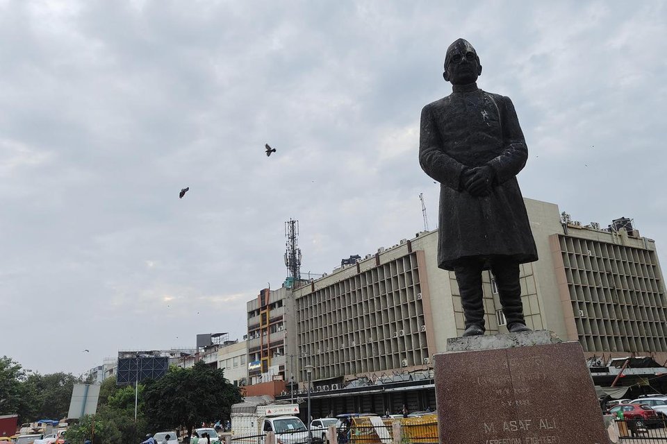 ‘Rats from the sky’: Urban India finds itself divided on pigeons
