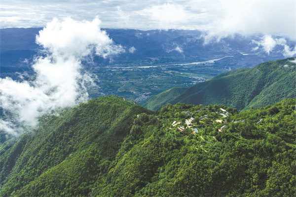 Love for coffee revitalises a mountain in China