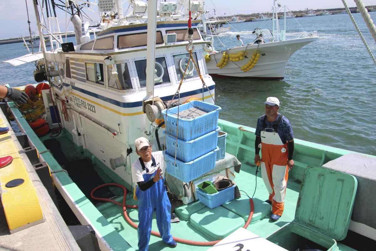 Japan’s seafood exports still hurting in wake of Fukushima incident, but hopes rising for Chinese market