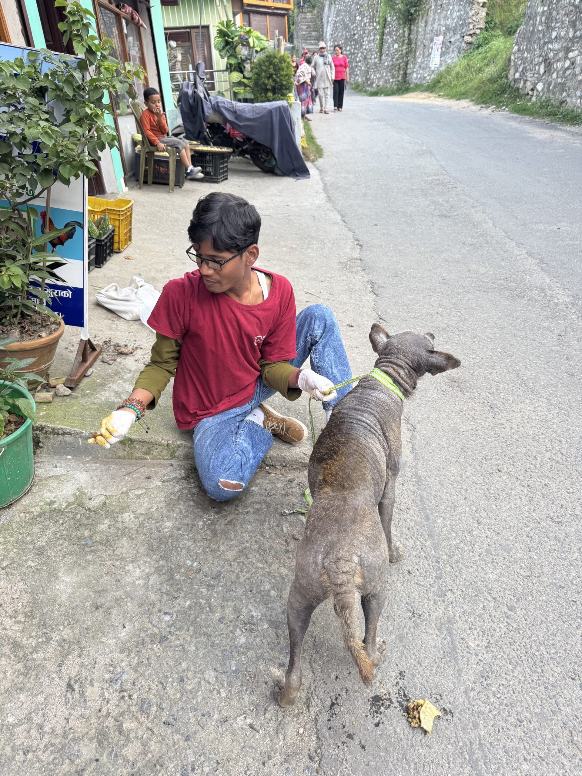 How a teashop is funding dog rescues across Nepal