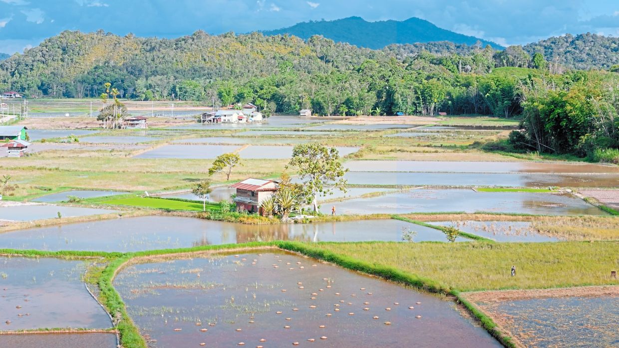 Discover the charms of Malaysia's many interesting small towns