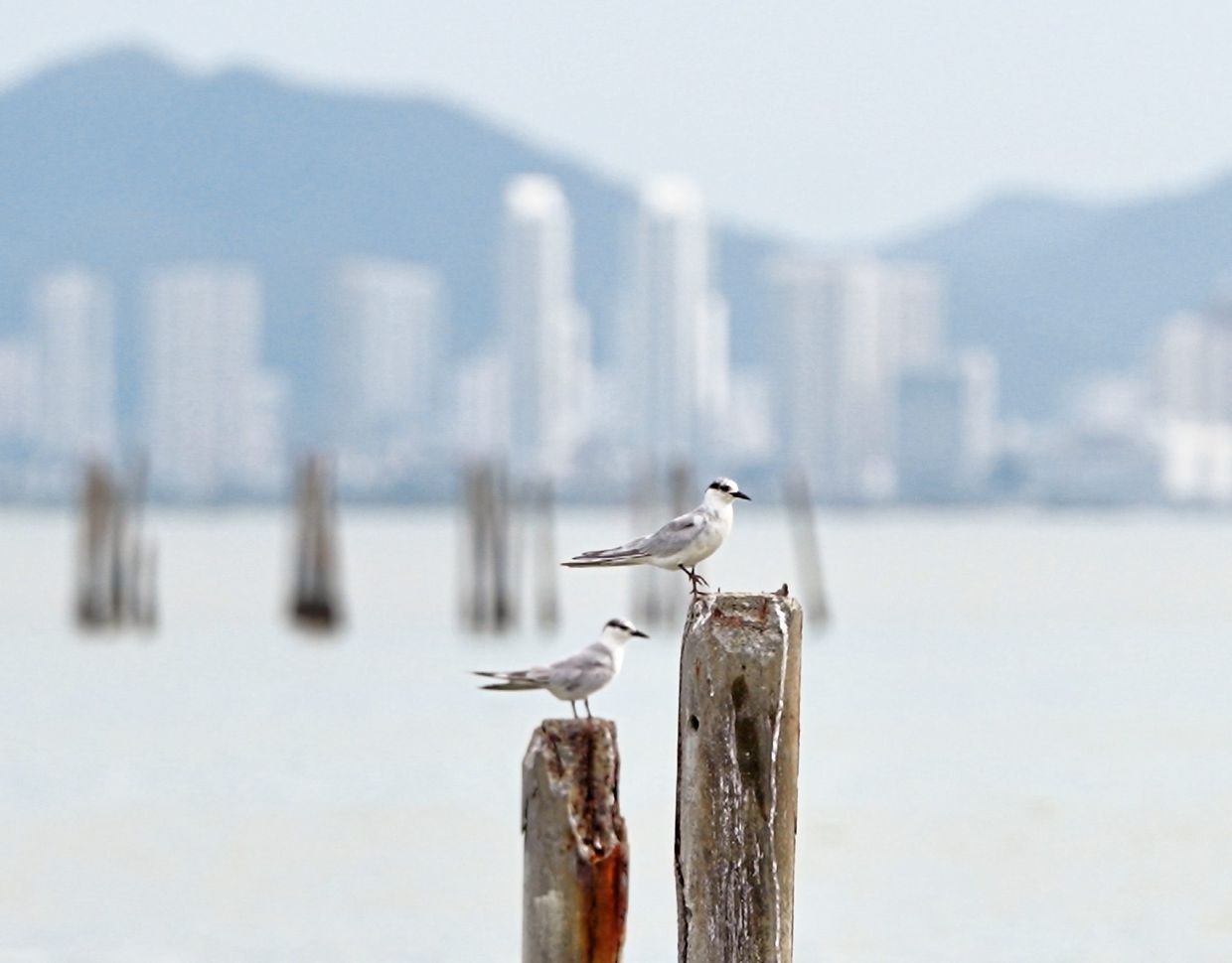 Discover the charms of Malaysia's many interesting small towns