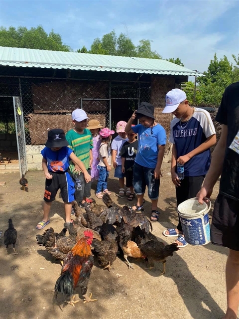 Young Vietnamese farmer returns home from living, studying abroad to build sustainable community farm